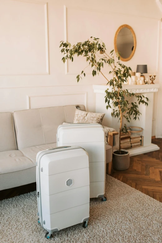 a living room with a couch, white suitcase, and plant