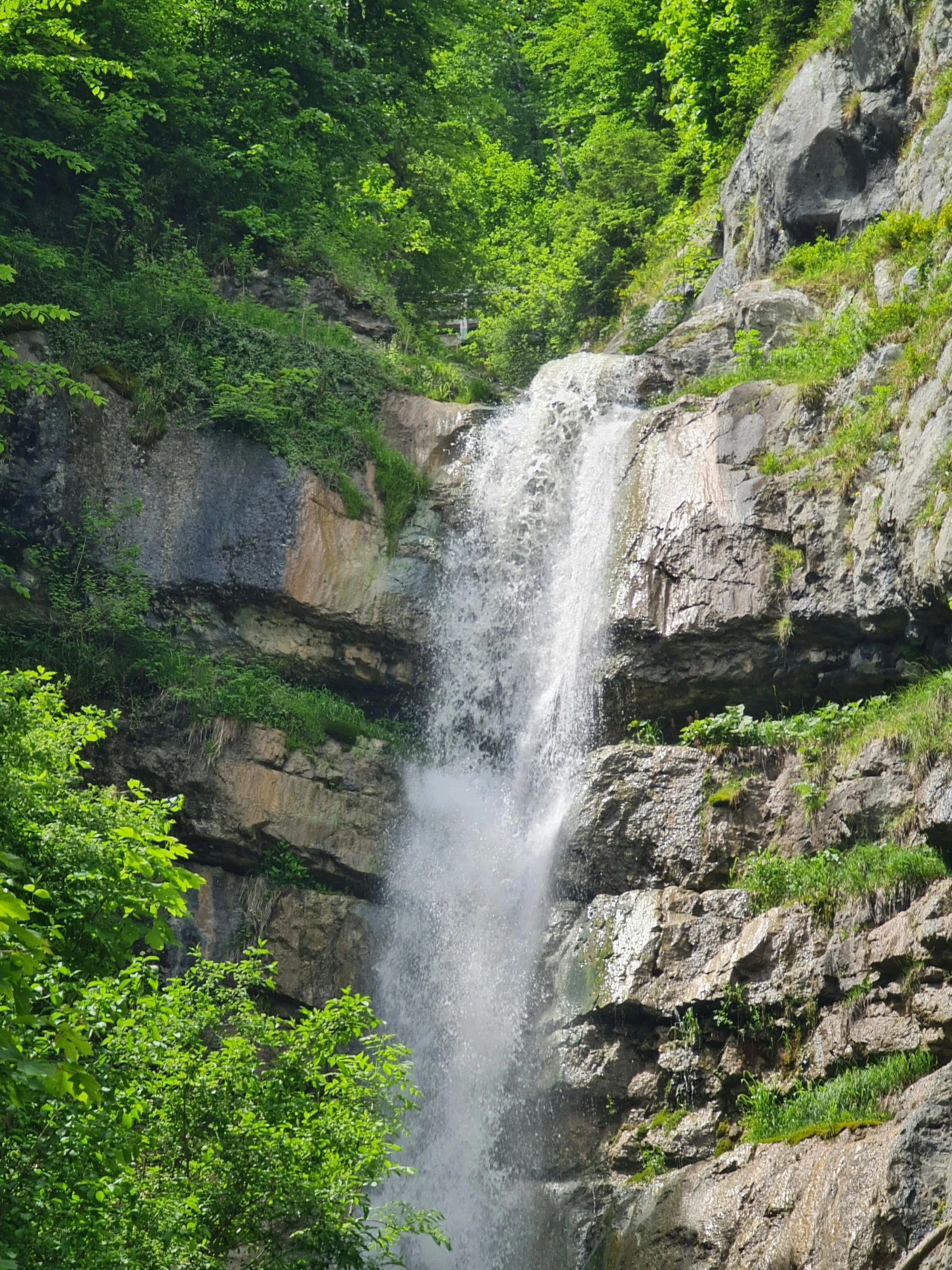 a tall waterfall near a small forest