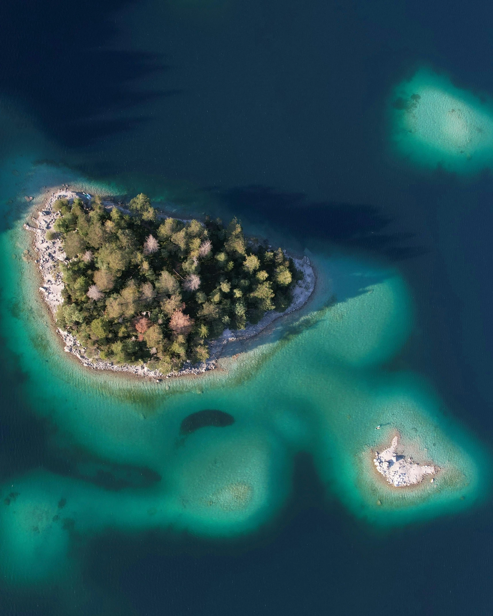 a small island with green seaweed in it