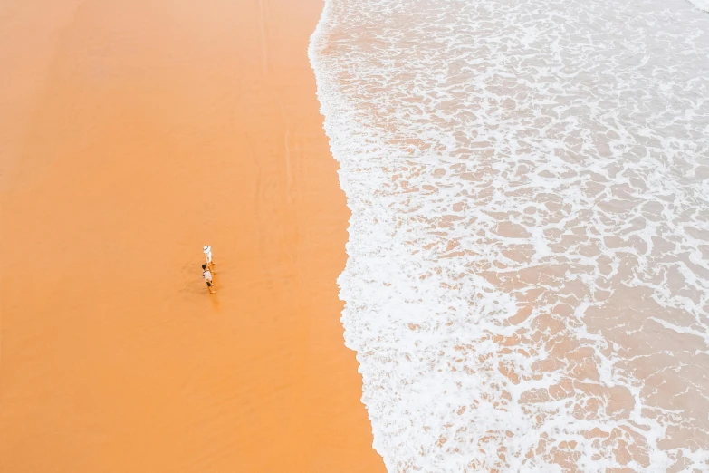 there is a person that is standing on the beach