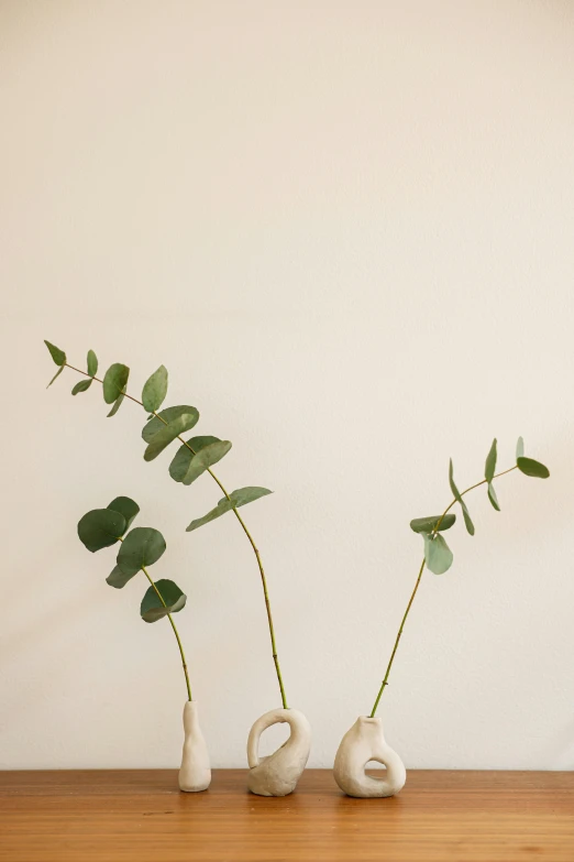 two white vases filled with plants and plants