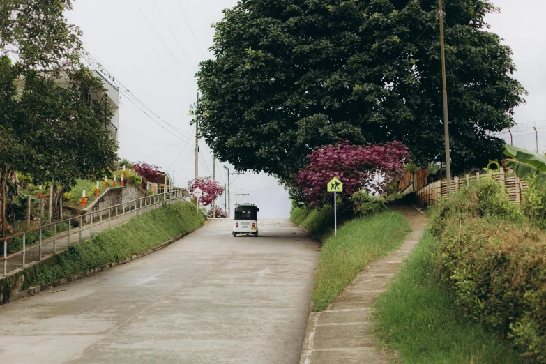 a van driving on a road down a hill by a tree