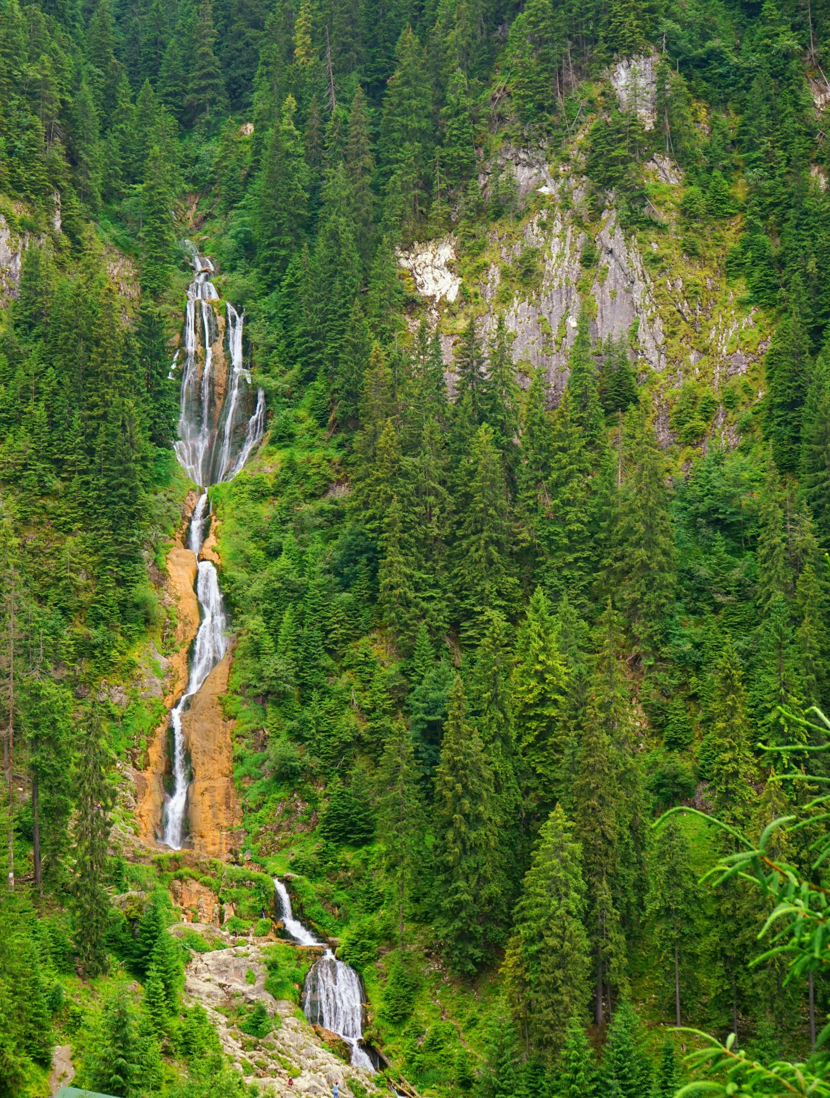 the lush greenery and waterfall area at the top of the falls in the mountains