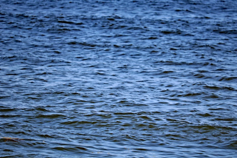 a body of water with dark green waters