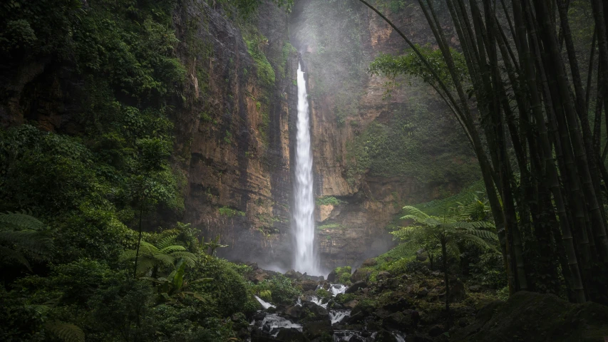 a long waterfall running into the middle of a forest