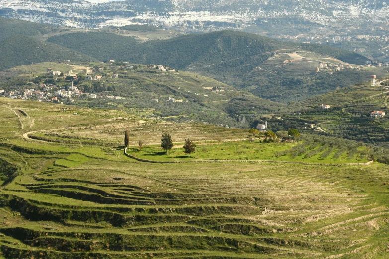 a hilly valley with lots of vegetation on the ground