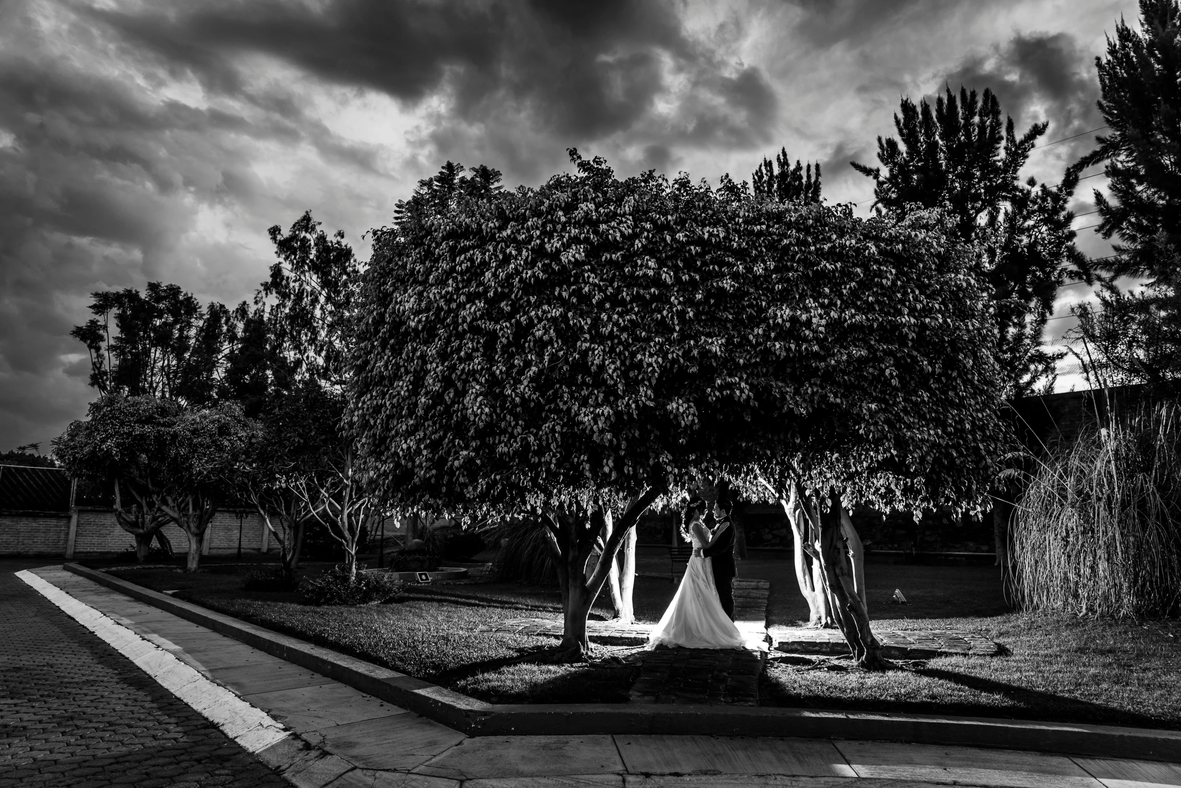 a couple standing in the middle of the grass with trees around them