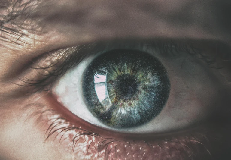 a persons eye with a reflection of the sky and trees