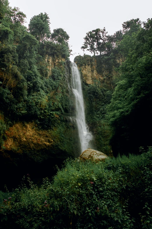 a waterfall is shown behind some shrubbery