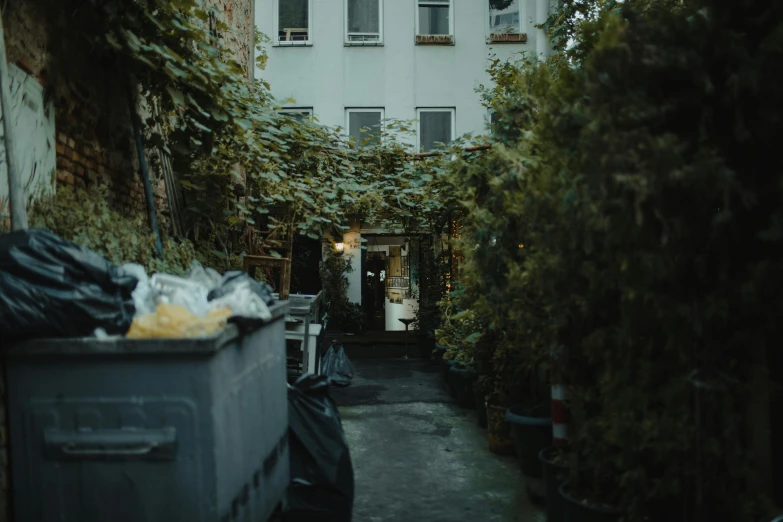 an alleyway has many plants and containers in it