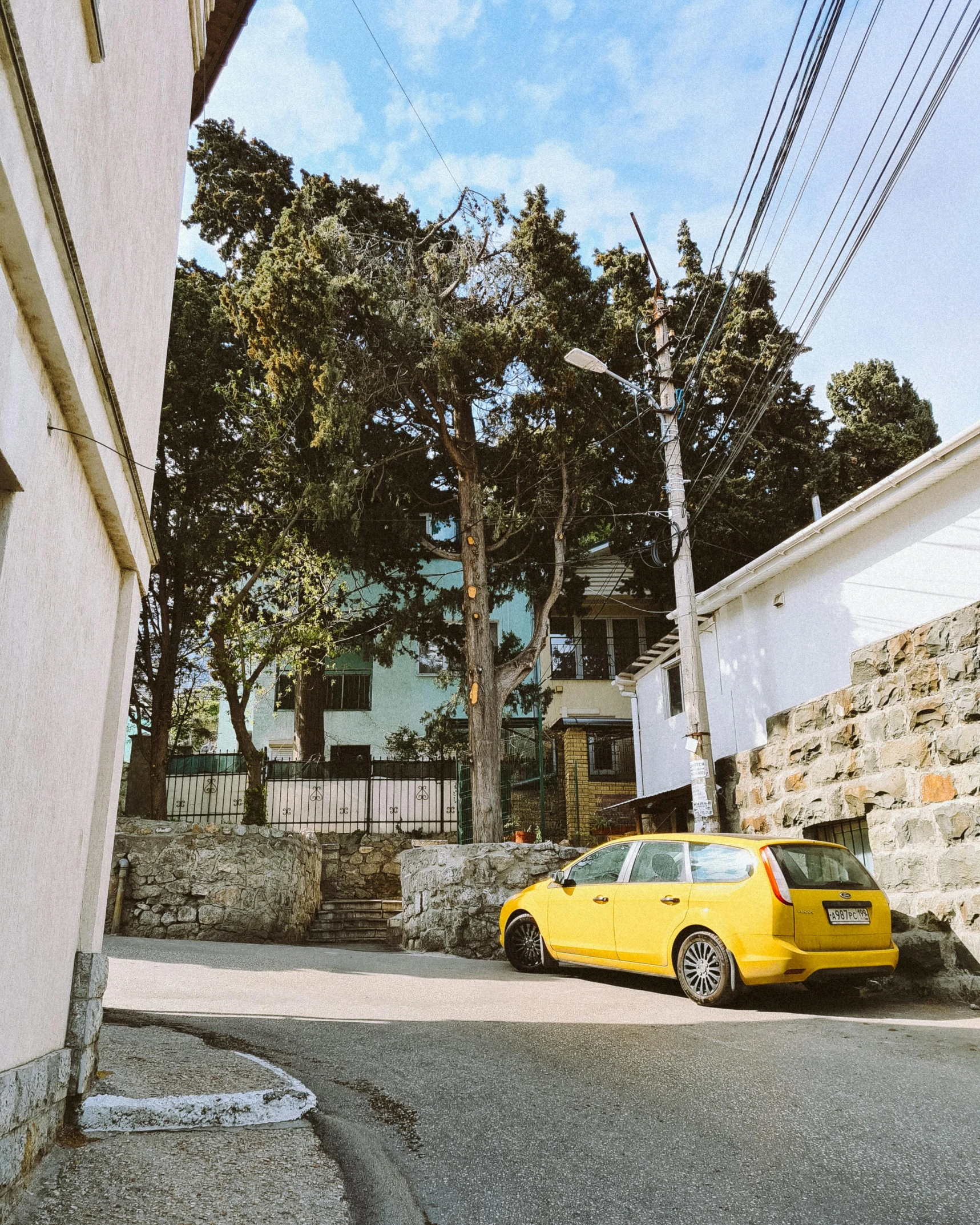 an automobile is parked by a tree outside