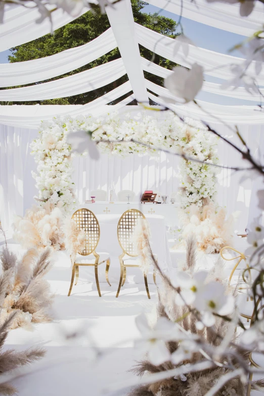 a bride and grooms wedding ceremony at their outdoor venue