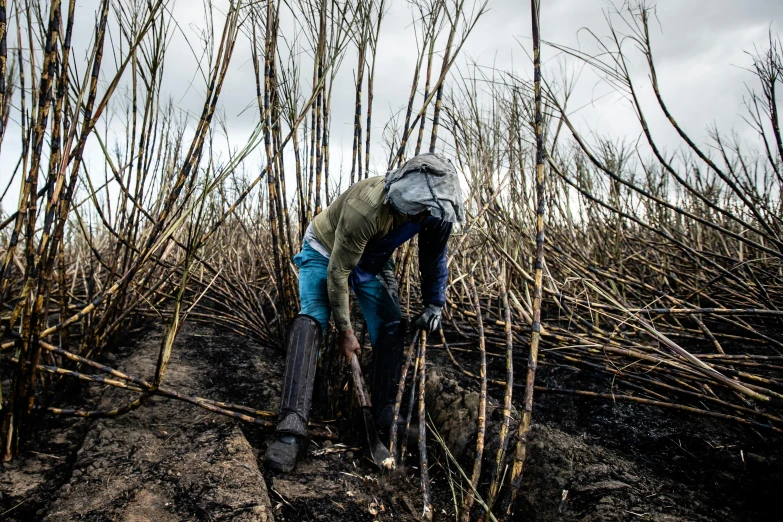 a man who is walking through the dirt