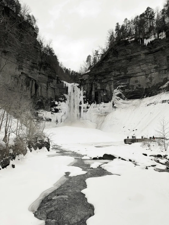 a river in a snowy landscape with trees