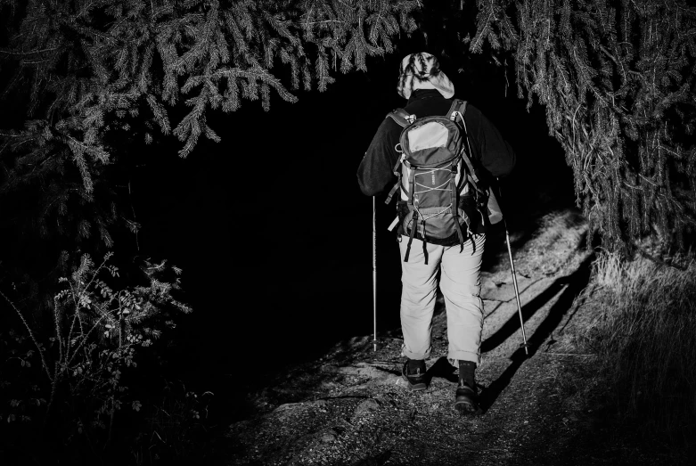 a person with hiking poles stands in front of the trees