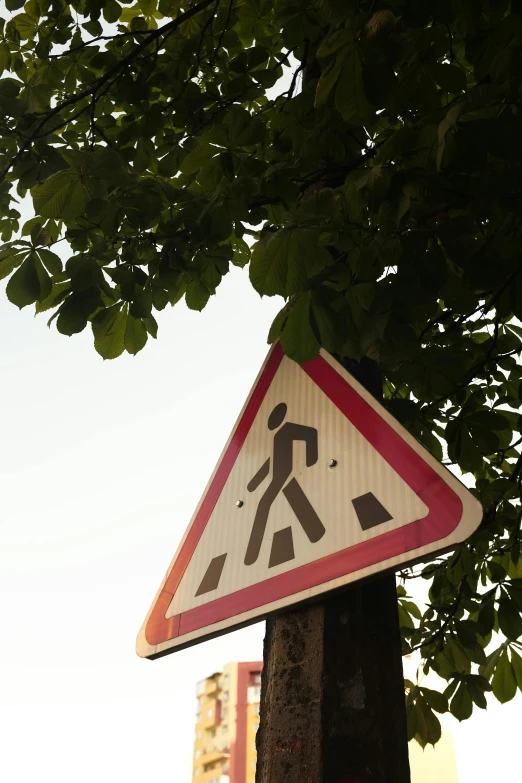 a sign on top of a pole reads crossing