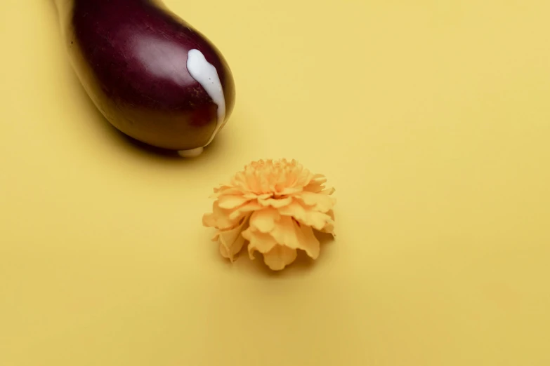 an eggplant, on a yellow background with a flower