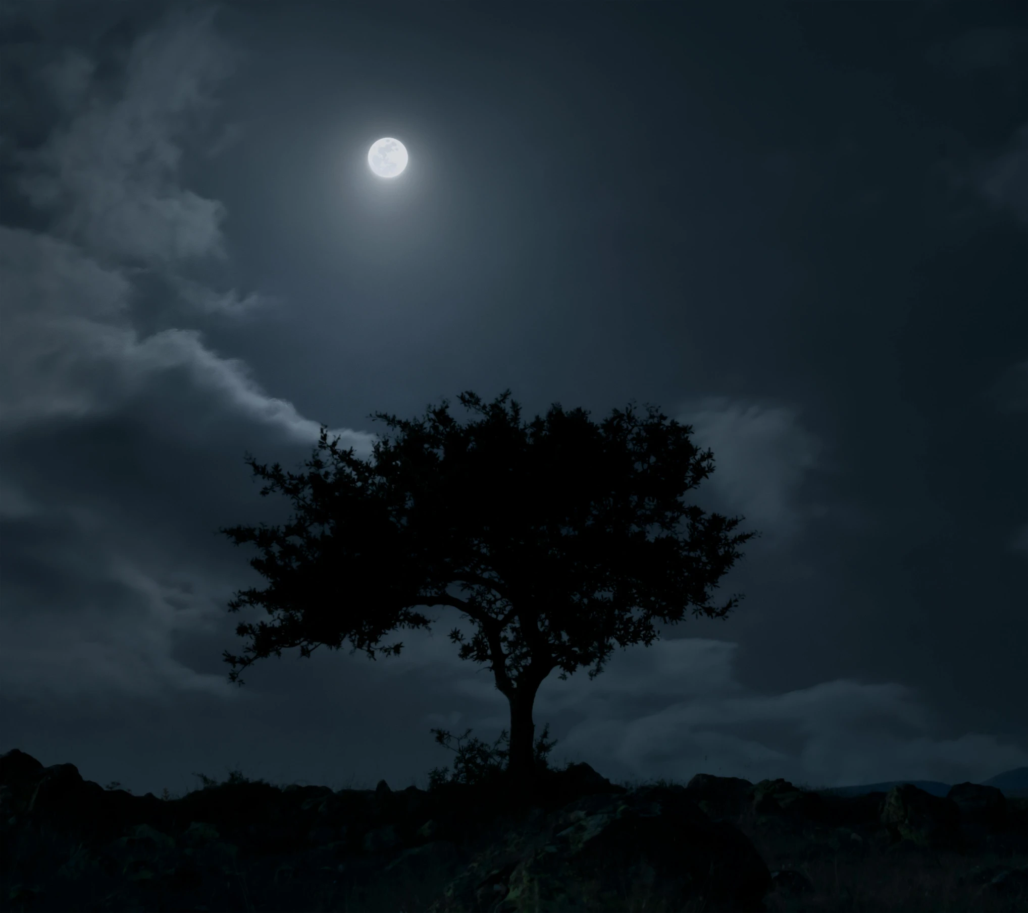 the moon is shining on top of a tree in a dark night