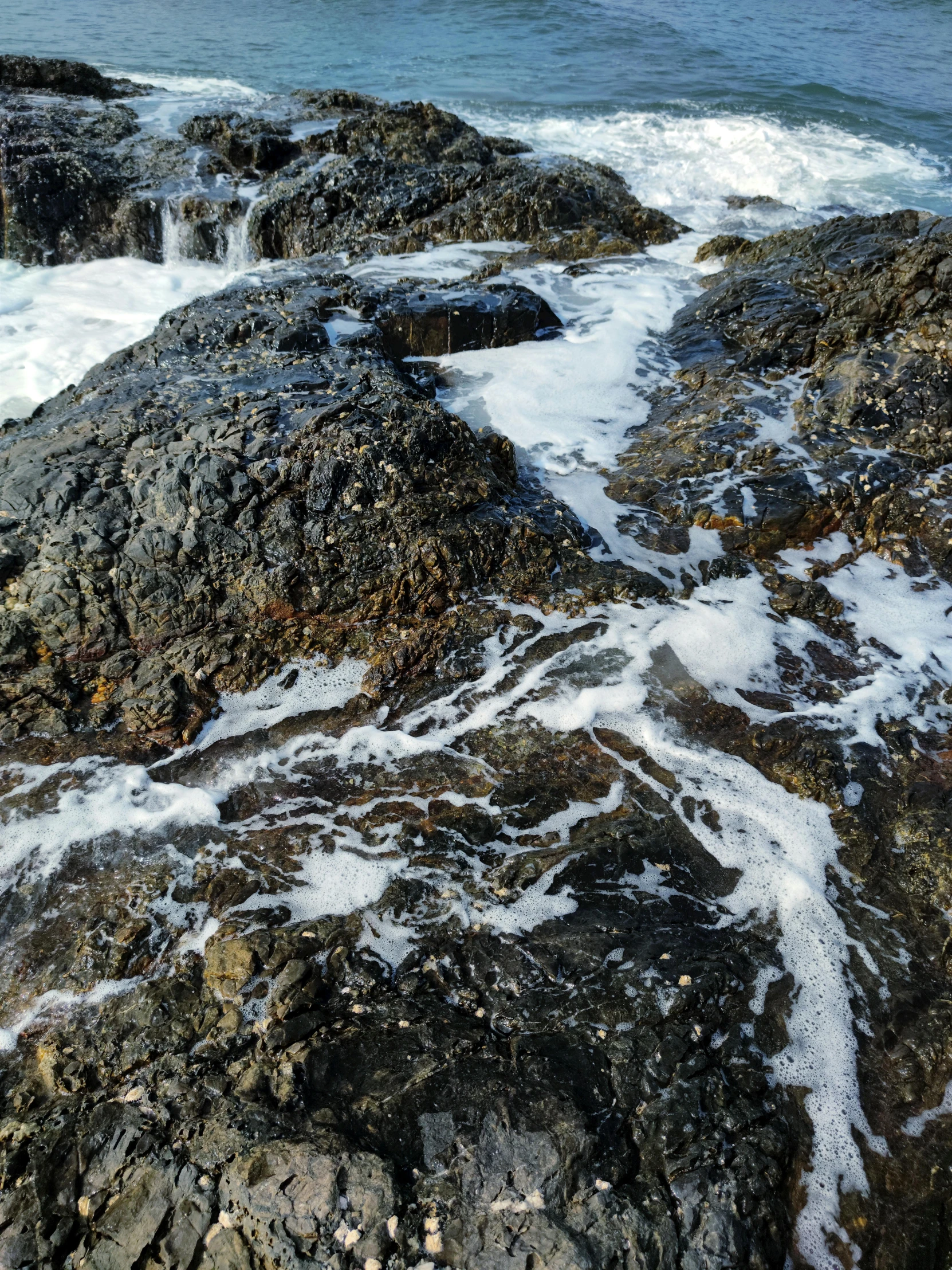 rocks at the beach covered in snow and water