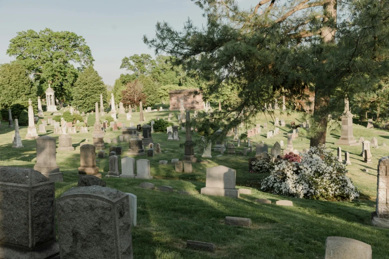 the cemetery is empty of people and there is no grass