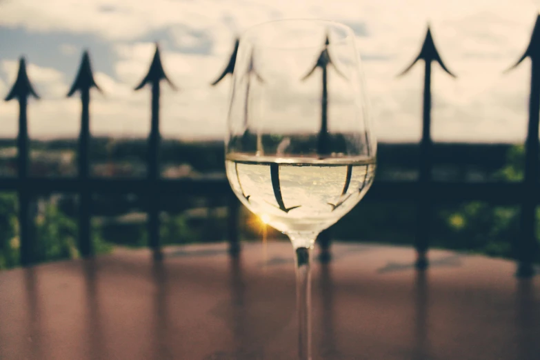 the stem of a wine glass sits outside near a fence