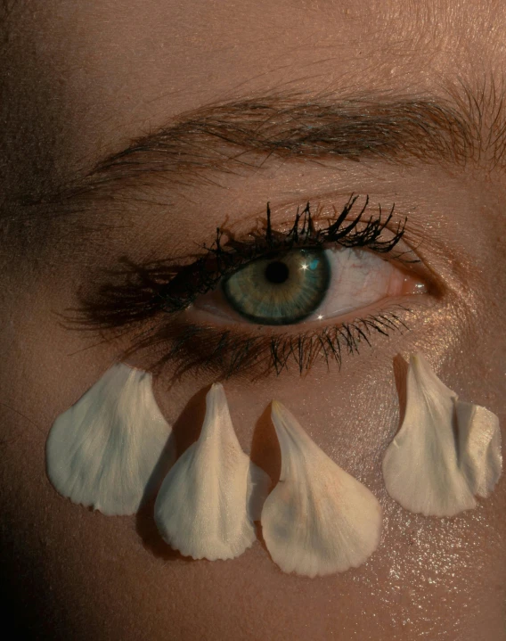 a close up of a person's eye with petals on her eyebrows