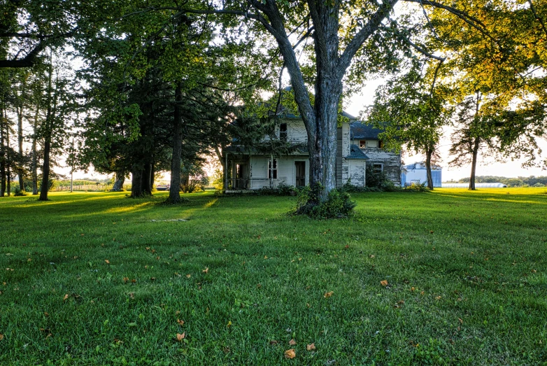 the house is in the middle of the yard