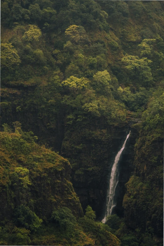 a long, narrow waterfall with many trees surrounding it