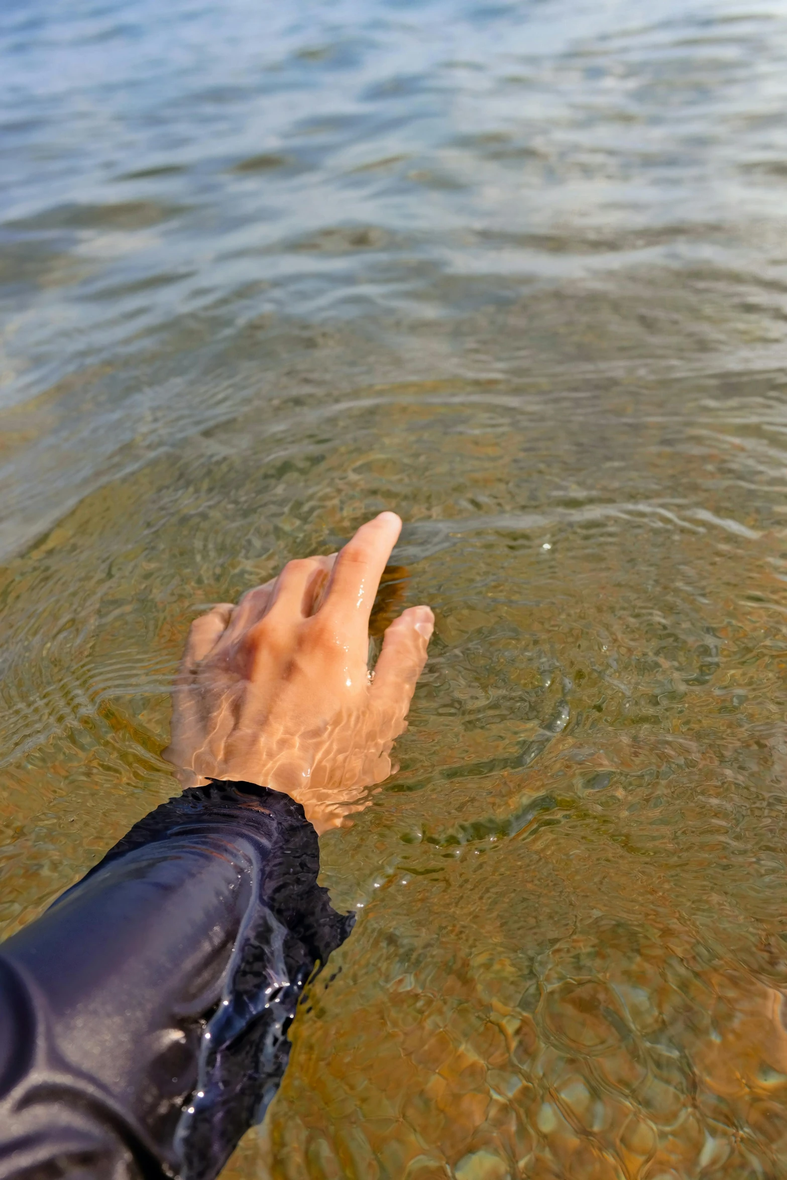 the person's hand is reaching for soing in shallow water