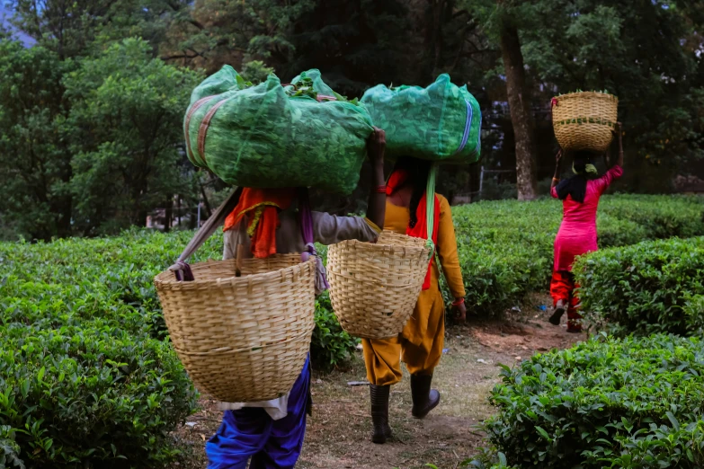 two women carrying large baskets and a bench