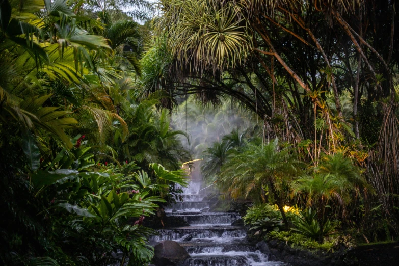 a waterfall running through lush tropical vegetation with light coming from above