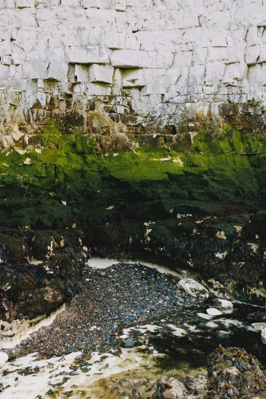 a stone wall with a small patch of green in the bottom