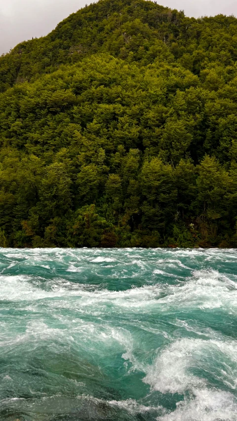 this is a river near a forest in the day