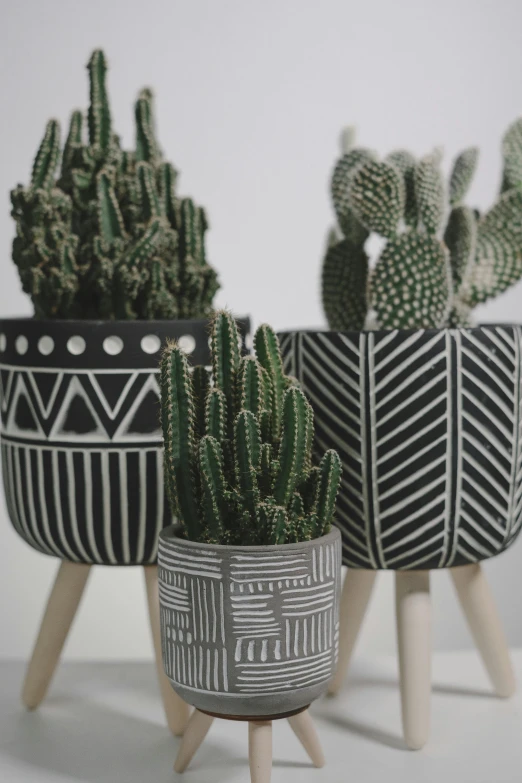 cactuses in planters placed in wooden legs on a white surface