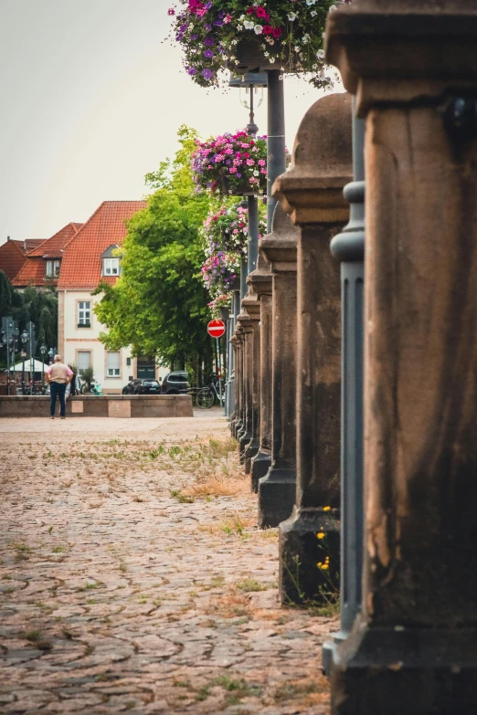 a view down a sidewalk that is lined with pink flowers