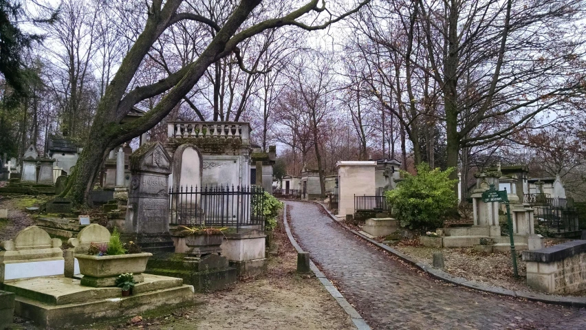 a large number of tombstones and trees with a long walkway