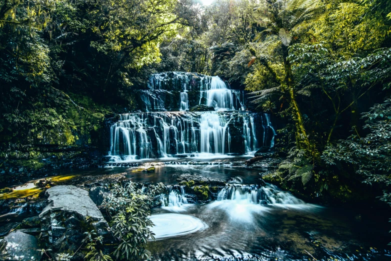 a waterfall surrounded by trees and bushes