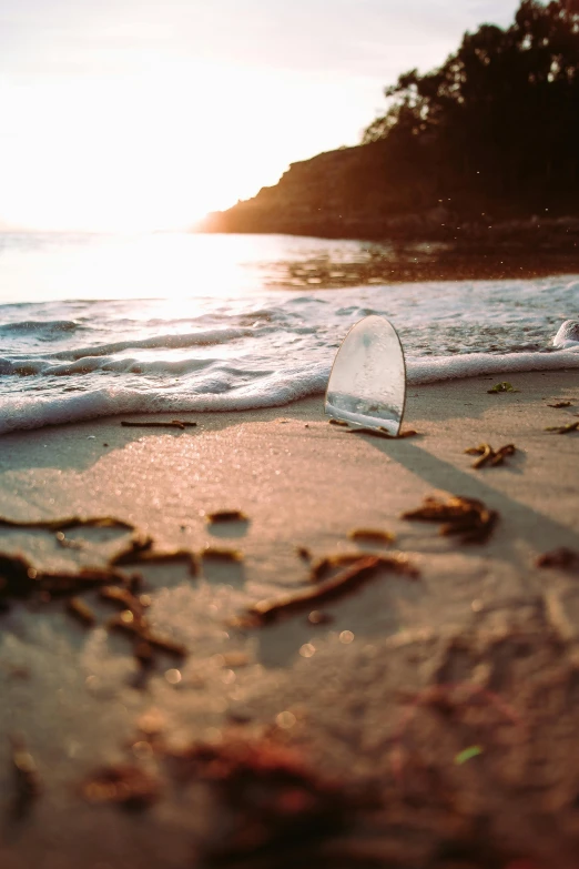 a small bottle is stuck in the sand on the beach