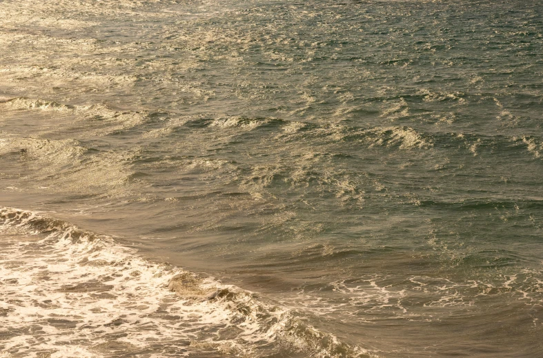 a woman on the shore walking with a surf board