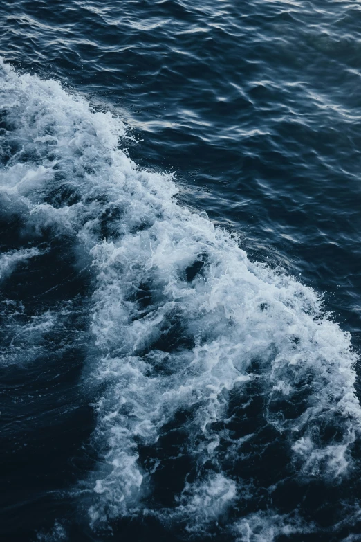 the water is wavy and choppy, giving off a dark blue hue