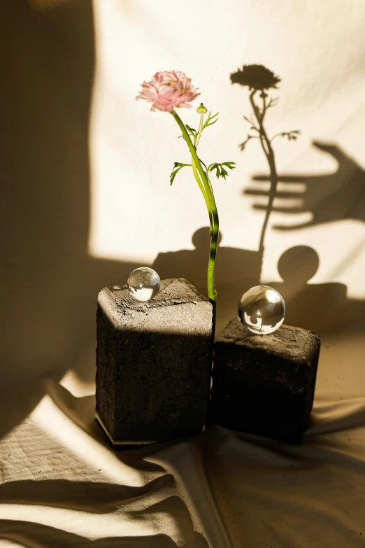 two plants sitting on a block of concrete