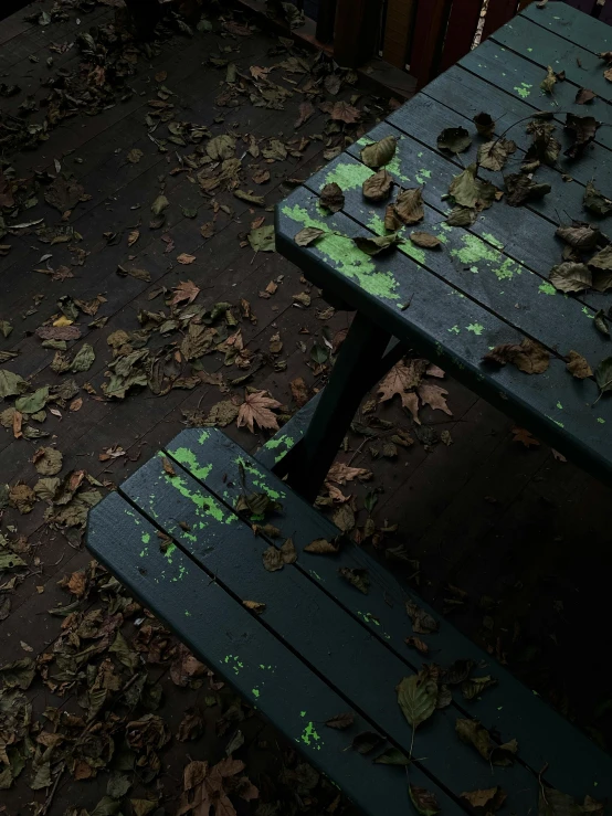 green moss covered benches and leaves in a dark, shadowy room