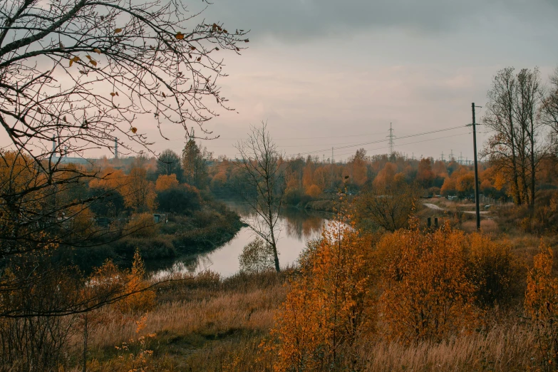 a river that is sitting near trees with fall leaves