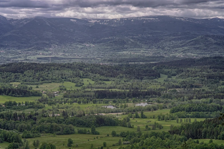 a view of a forest, mountains, and lake from a high point of view