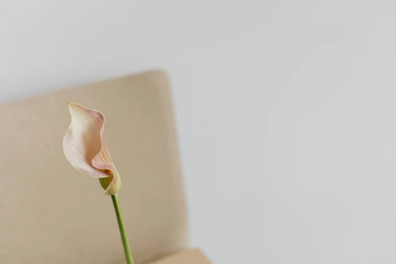 the flower is sitting in the square vase