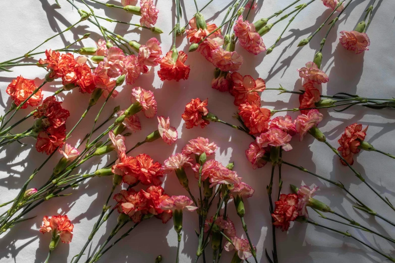 several pink and yellow flowers lying on white cloth