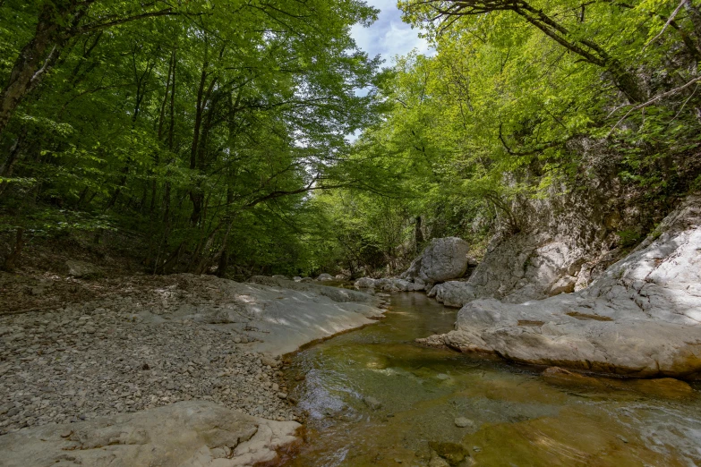 a stream with rocks and green trees along the sides