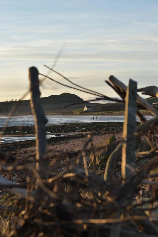 a bunch of wooden posts on a dirt field