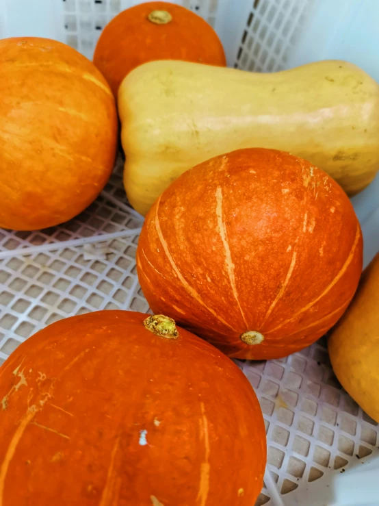 some squash sitting in a basket in some sort of place