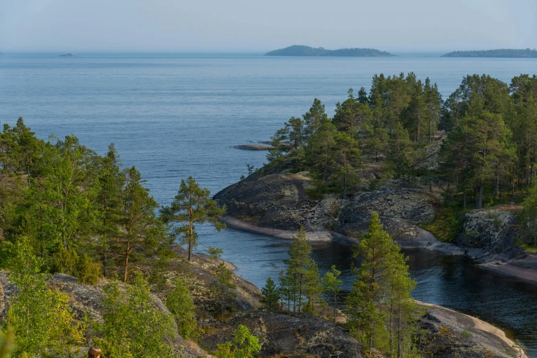 a blue lake surrounded by trees and a large island